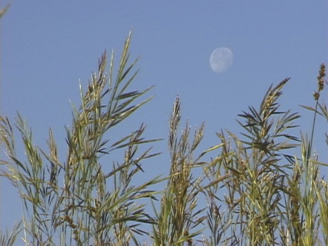 Exploring Earth, Sun, and Moon